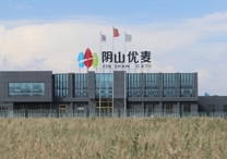 權(quán)威！陰山優(yōu)麥被認(rèn)證為“中國有機(jī)燕麥第 一品牌”